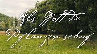 Als Gott die Pflanzen schuf | Die Hipke Family