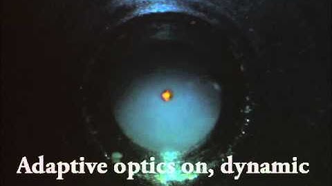 Adaptive Optics Demonstrator