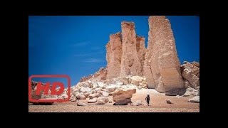 See One of Earth’s Driest Places Experience a Rare Flower Boom | National Geographic by Christopher Bennett 23 views 6 years ago 2 hours, 24 minutes