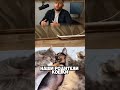 пёс узнал тайну которую от него скрывали #юмор #прикол #реакция #смешновидео #смешновидео