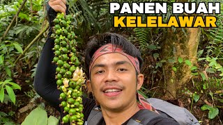 Menjelajah hutan mencari buah langka, camping dan bakar ikan hasil burun 🔥