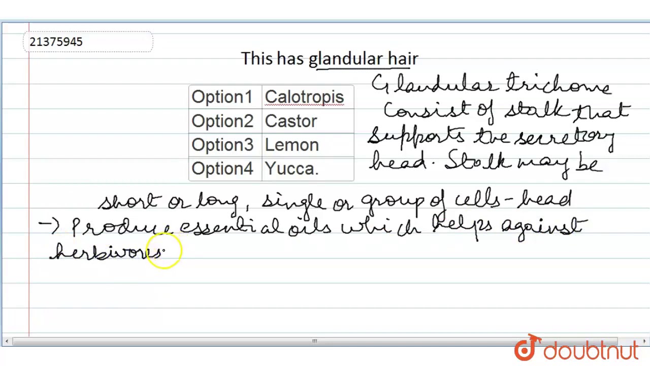 This has glandular hair