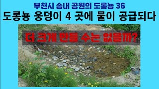 부천시 송내 공원의 도롱뇽 36. 도롱뇽 웅덩이 4 곳에 물이 공급되다; Korean salamander 36. Artificially supplied water