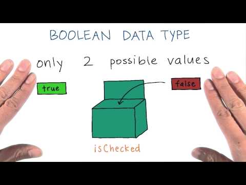 Boolean Data Type - Boolean Data Type