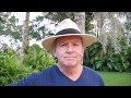 My Tropical Yard in Jupiter, FL: Palms, Ferns & Elephant Ears