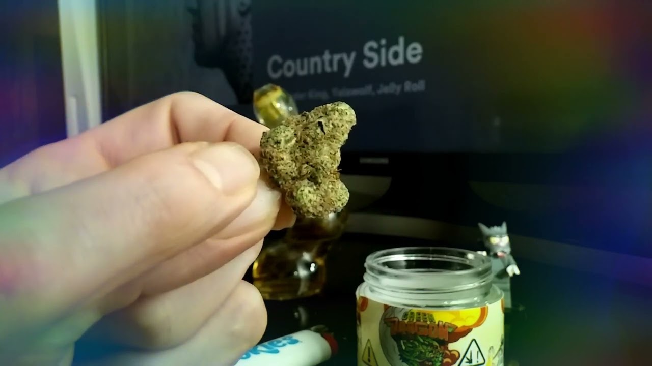 Malverdes Revenge - Green Dragon P.2