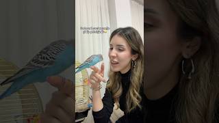 Çocuğumu Da Ürebilsem Keşke Her Yere Yanımda