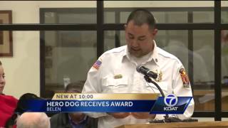 Firefighters tip caps to tiny hero dog