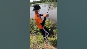 Tuổi trẻ tài cao #shorts #caucaloc #cauca