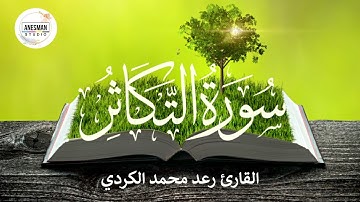 102 سورة التكاثر - القارئ رعد محمد الكردي