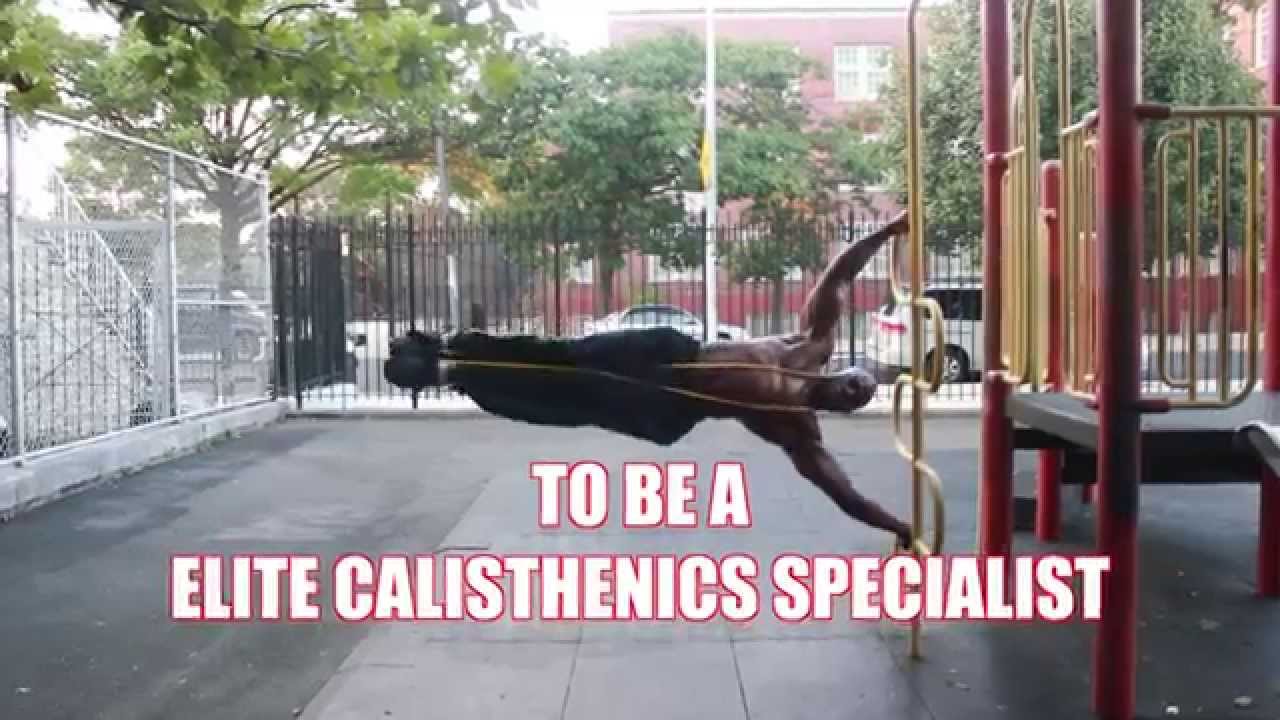 ALL TRAINERS GET RE-CERTIFIED AS CALISTHENICS SPECIALIST