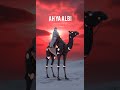 Ah Ya Albi 🔥❤️ أه يا ألبي #arabicremix #arabichouse #arabic #arabicmusic