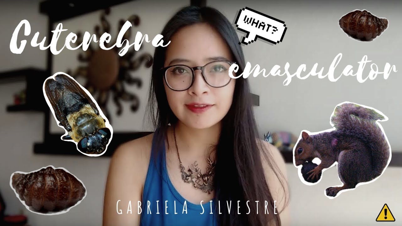 STORYTIME | ¿Larvas parásito en el bosque?
