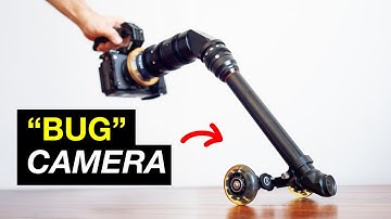 Just a Perfectly Normal LENS...