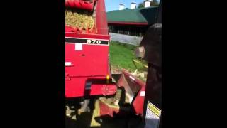 2012 corn silage
