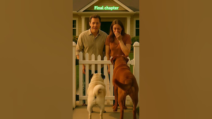 Heart warming story of a lost pug who found his to home#pugshorts#cutepugvideo