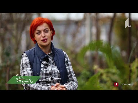 #არტიშოკი პედაგოგი ნატო ჭოტაშვილი თბილისიდან, რომელმაც დედოფლისწყაროში მწყრის მინიფერმა შექმნა