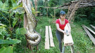 While Going Into The Forest To Find Grass For The Cows He Met a Large Python  How To Sow Rice Sceds