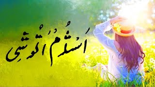 As Xum Atushi  | New Burushaski Song | Islam Habib | Zulfiqar Ali Barcha
