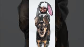 Coelhinho Se Eu Fosse Como Tu Tirava A Mão No Bolso Enfiava A Mão