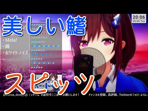 道明寺ここあ 美しい鰭 スピッツ 中日歌詞 歌枠切り抜き 歌回精華 歌回剪輯 中文歌詞
