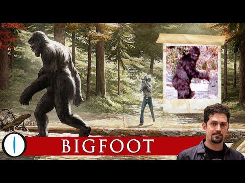 Video: In Gran Bretagna, Bigfoot è Stato Girato Nella Foresta - Visualizzazione Alternativa