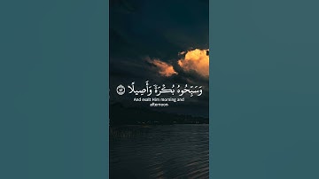 قرآن كريم بصوت الشيخ ياسر الدوسري🌹#quran #صلوا_على_النبي #trending #foryou #fyp