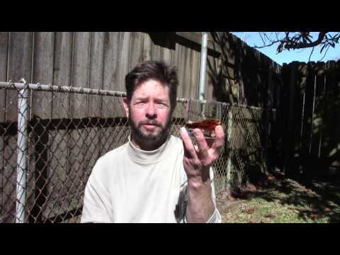 Jay Theriot — Old No. 7