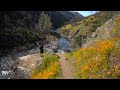 Solo Hiking In The Yosemite Valley