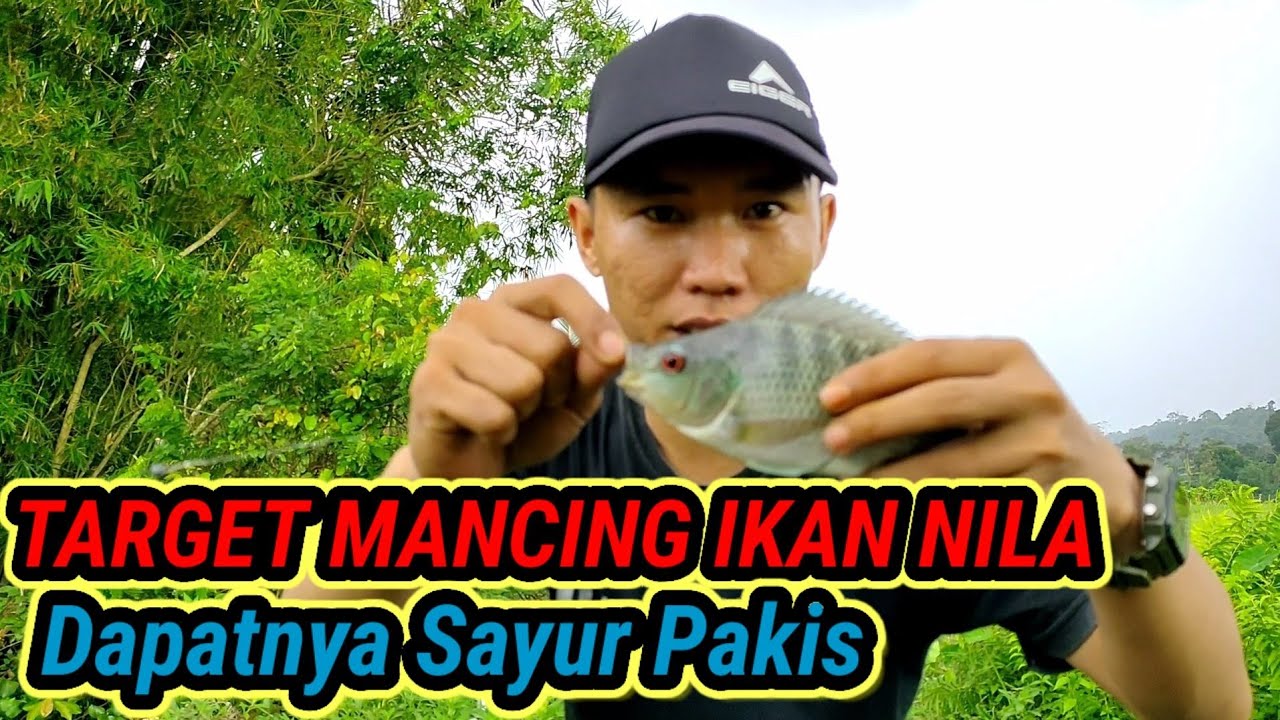 MANCING MANIA | MANCING IKAN NILA DAPAT SAYUR PAKIS | Aswan mania