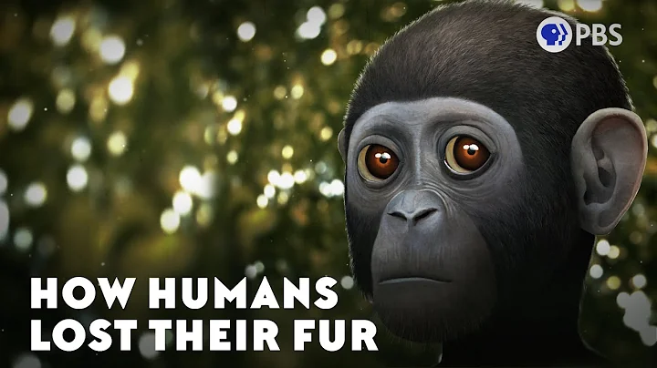 How Humans Lost Their Fur - DayDayNews