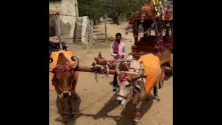 Merau Kutch  (Pinzip:370465)