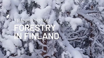 Transforming forestry in Finland - UNITE Flagship