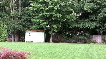 Hobbyzone Duet RTF Maiden Flight(s)