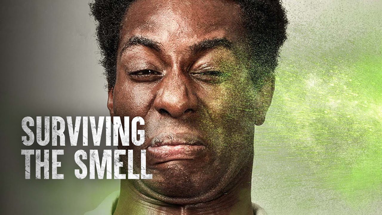 Как пережить нападение скунса