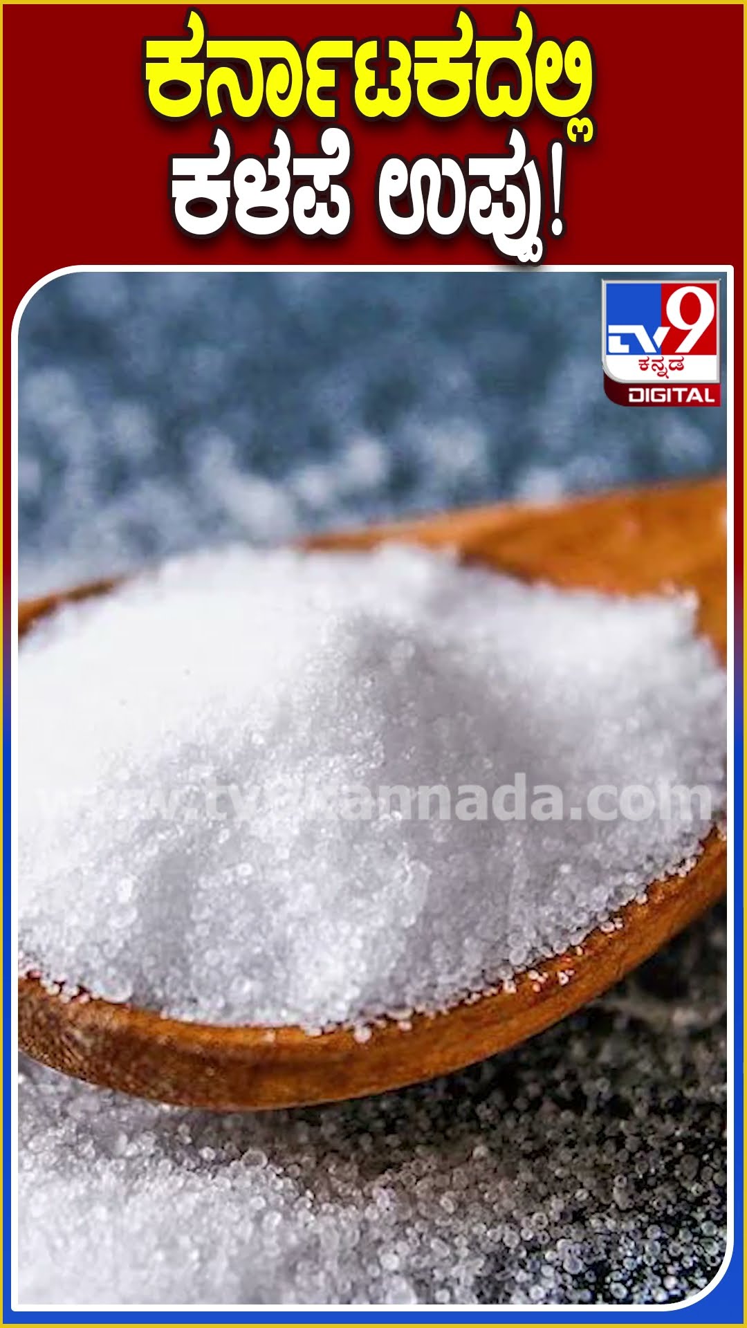 ಕರ್ನಾಟಕದಲ್ಲಿ ಕಳಪೆ ಉಪ್ಪು! #Salt #Tv9D
