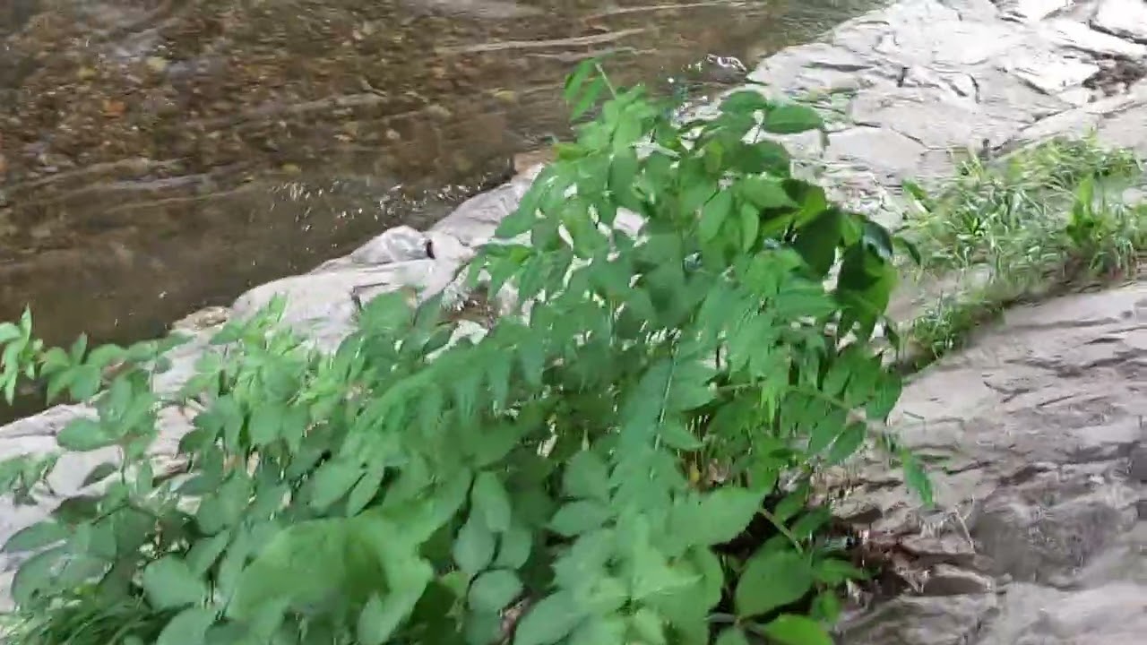 Water means Life CCCXIX 💙💙💙