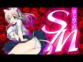 【実写レビュー】はじめてのさどまぞ【超解説】