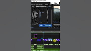 Replicate effects of one clip to any other clips easily in Adobe Premiere Pro #adobepremierepro