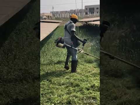 Overgrown? No problem!