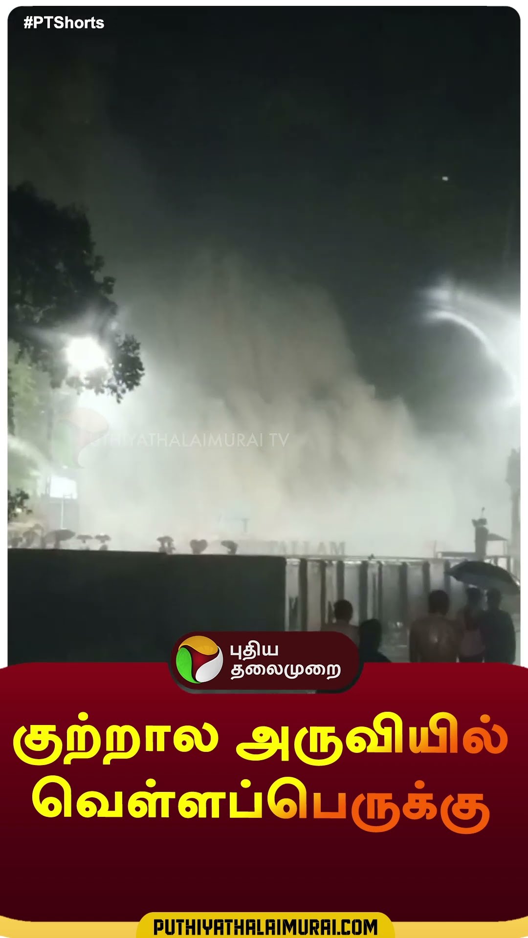குற்றால அருவியில் வெள்ளப்பெருக்கு | #shorts | #courtallam | #flood