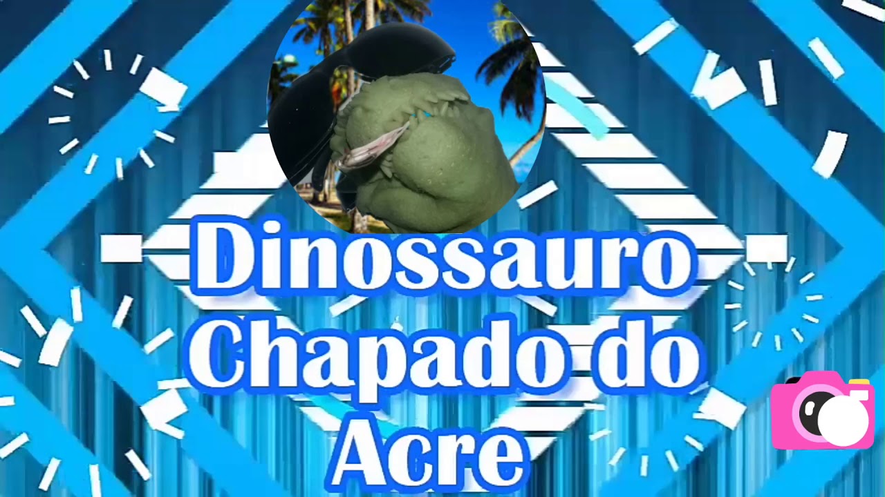 Vinheta e primeiro video do canal