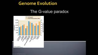 Unit 3.1.2 G-Value Paradox