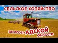 ДРУГОЙ МИР СЕЛЬСКОГО ХОЗЯЙСТВА☀️ ВОЛГОГРАД☀️