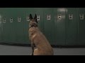 Drug dogs pay a visit to one Wabash Valley school as a routine search