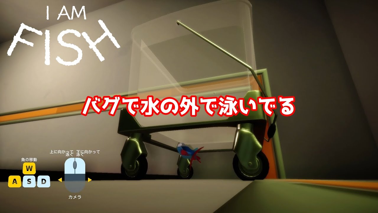 I AM FISH トビウオ２