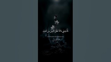 هذا خلق الله - #محمد_هشام #سورة_لقمان #هذا_خلق_الله #quran #قرآن #راحة_نفسية #الله