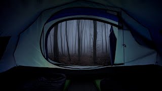 Night in a big tent with heavy rain and strong thunder by Sleepy Rain 195,094 views 2 years ago 6 hours