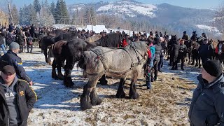 У селі Космач, що на Косівщині, відбувся фестиваль бутинарів
