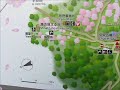 塚山公園の梅・原子力空母ジョージ・ワシントンを望む